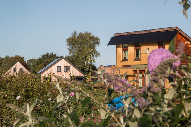 Test hier staat dan een hele lange kop over een paar regels #4